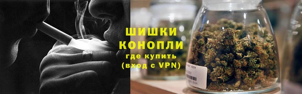 2c-b Бородино