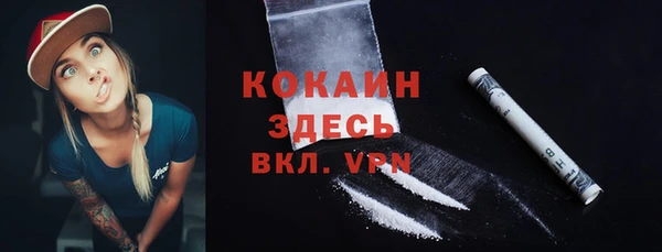 2c-b Бородино