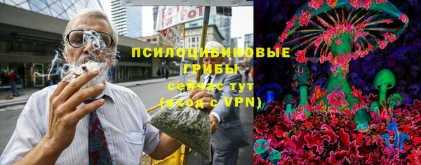 гашик Бронницы