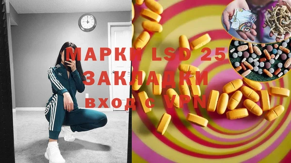 дмт Апатиты