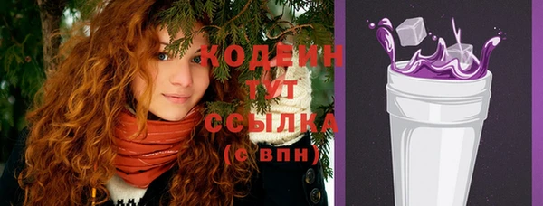 2c-b Бородино