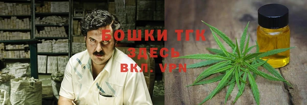2c-b Бородино