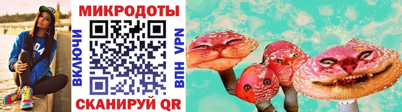 Псилоцибиновые грибы Psilocybe  mega tor  Дигора 