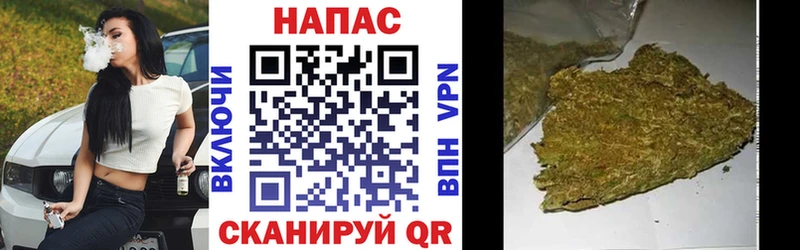 где найти   Дигора  Бошки Шишки конопля 